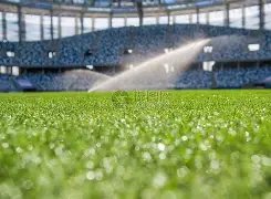 曼城连克强,福登梅开二,度罗德里助,世界杯买球,2026世界杯,买球策略,赔率分析,赛事预测