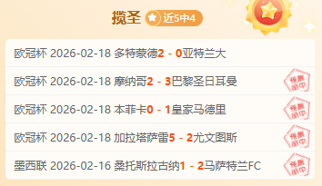 纽卡斯尔崛,起解析,巧妙运用身,世界杯买球,2026世界杯,买球策略,赔率分析,赛事预测