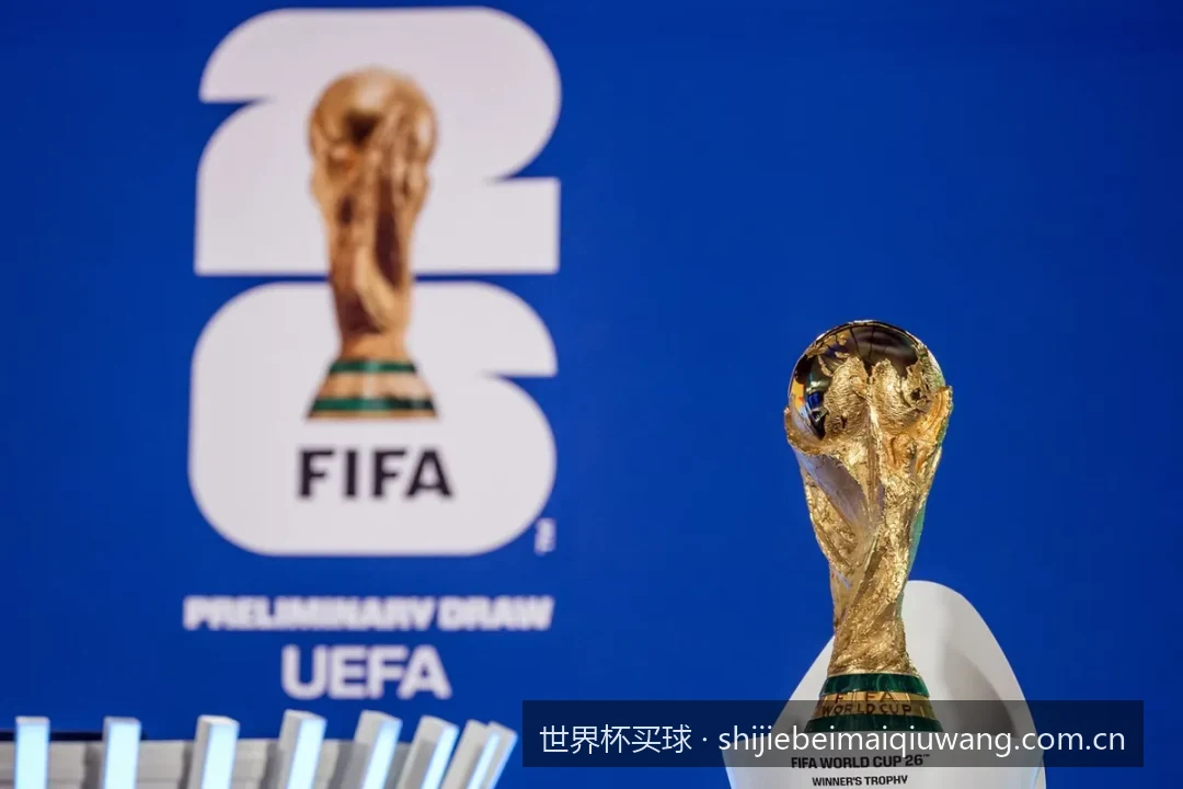 2026世界杯买球全攻略：新手如何安全选择靠谱买球平台